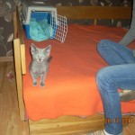 Dunia Mruczalska*PL