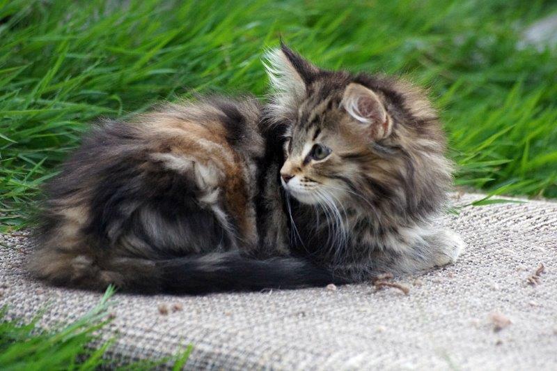 Olga | Mruczalscy*PL