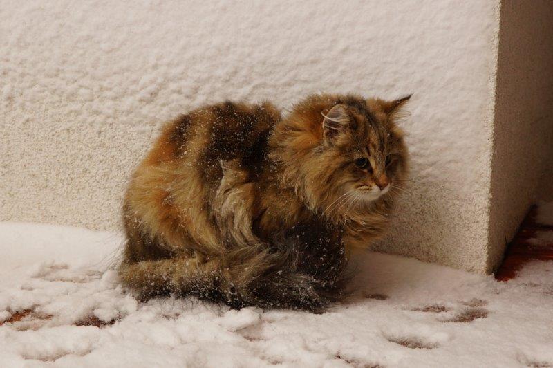Olga | Mruczalscy*PL
