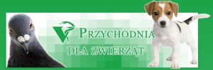 Weterynarz