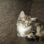 Elza Mruczalska*PL