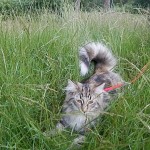 Elza Mruczalska*PL