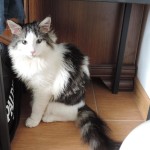 Maurycy Mruczalski*PL
