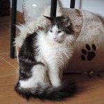 Maurycy Mruczalski*PL