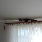 Maurycy Mruczalski*PL