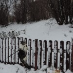Maurycy Mruczalski*PL