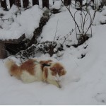 Nikodem Mruczalski*PL