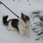 Maurycy Mruczalski*PL