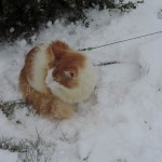 Nikodem Mruczalski*PL