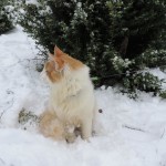 Nikodem Mruczalski*PL
