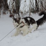 Maurycy Mruczalski*PL
