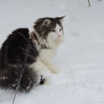 Maurycy Mruczalski*PL