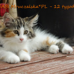 Gabi Mruczalska*PL