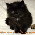 Greta Mruczalska*PL