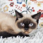 Cecylia Mruczalska*PL