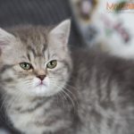 Inga Mruczalska*PL