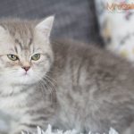 Inga Mruczalska*PL