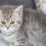 Inga Mruczalska*PL