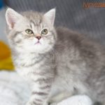 Inga Mruczalska*PL