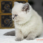 Tymon Mruczalski*PL