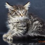 Ignacy Mruczalski*PL