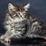 Ignacy Mruczalski*PL